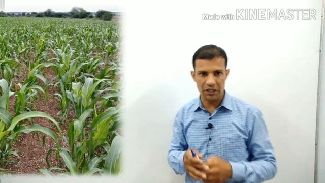 Agriculture# chapter 4 class 10th# Part 2# कृषि# Pattern of Agriculture# Rabi, kharif & Zaid смотреть онлайн