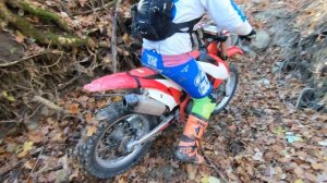 КИТАЙСКИЕ ЭНДУРО 250 300 И 450 КУБОВ ПРОТИВ ОСЕНЕГО ЛЕСА