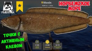 ТОЧКИ НА КОТОРЫХ ВСЕГДА КЛЮЁТ #2 НОРВЕЖСКОЕ МОРЕ ФАРМ БЕЗ СТАВОК РУССКАЯ РЫБАЛКА 4 РР4