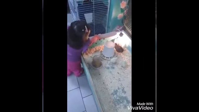 Сходили в ручной зоопарк смотреть онлайн