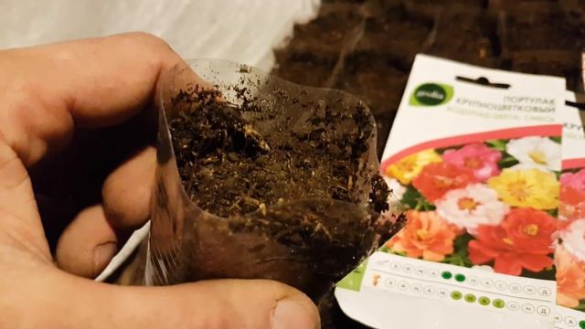 Спортивные Моменты и Экстрим-спорт