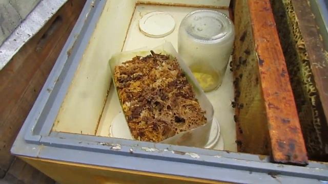 улей биненхаус ( Bienenhaus )  - дача сиропа в зиму , и обсушивание рамок и забруса одновременно