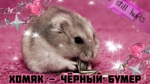 Хомяк - Чёрный Бумер|Шоу «Маска-4»|[4-Выпуск?]