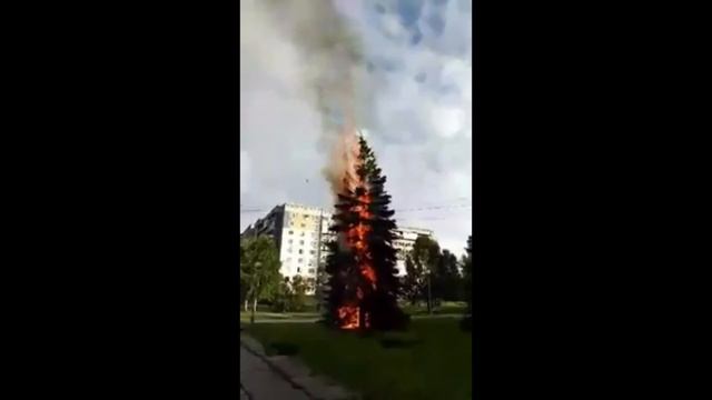 Новокузнецк Горит Ель в Парке смотреть онлайн