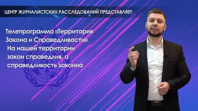 Презентация организации Миротворец смотреть онлайн