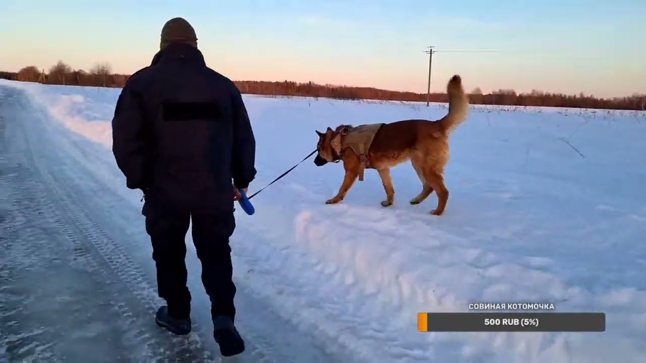 Yoll's добрый Stream из Совиного дола