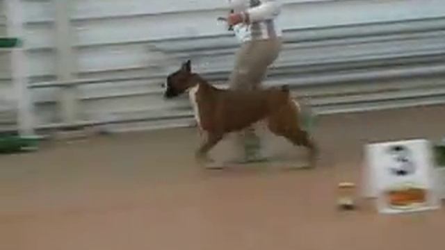 Best Юниоров (1 часть), 22.03.08 смотреть онлайн