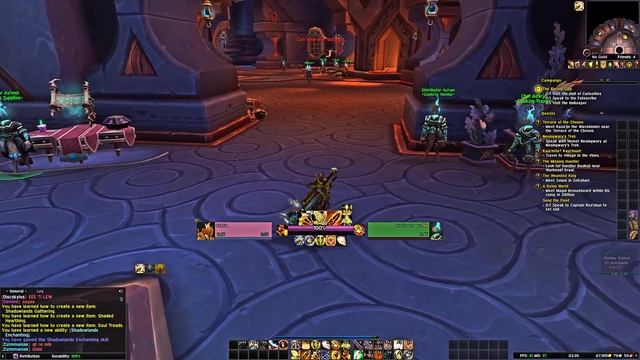 World of Warcraft: Shadowlands - Launch Event, Paladin Leveling - Fighting the Lagfest смотреть онлайн