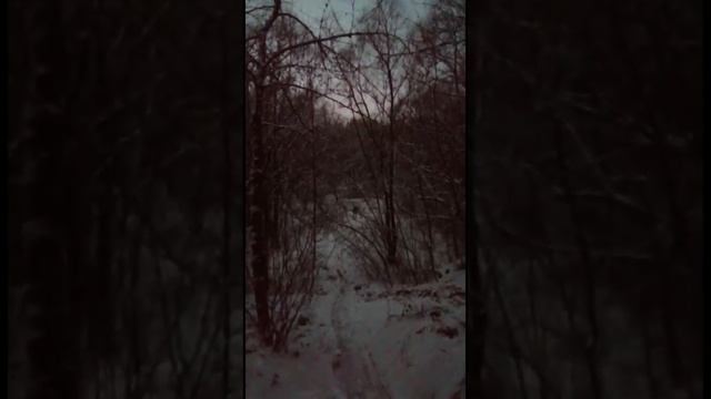 СНЕГОСАМОКАТ!!!! SNOWSCOOT смотреть онлайн