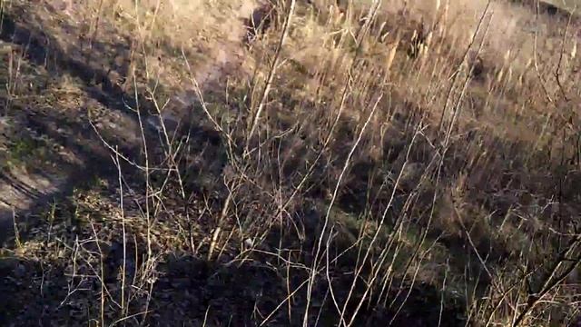 Dirt - Жека не зассал. смотреть онлайн