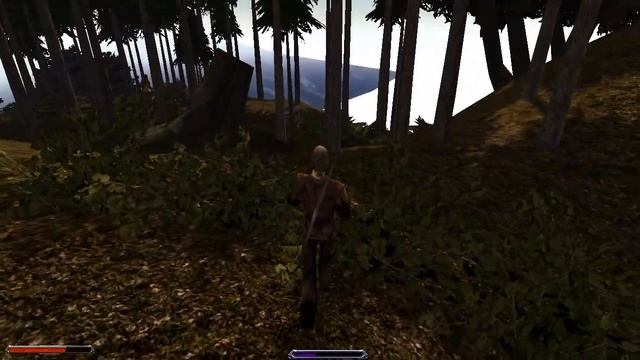 Демо версия локации Fising Village модификации Gothic 3 Alternative [#7] Труппа смотреть онлайн