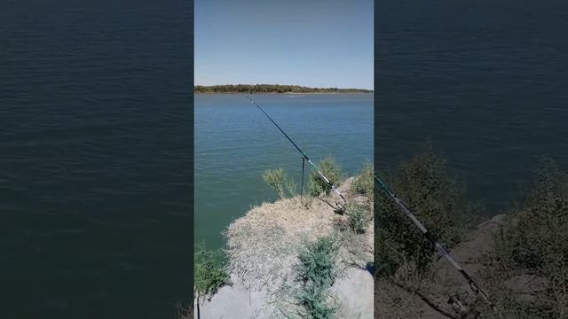 рыбалка на дарье смотреть онлайн