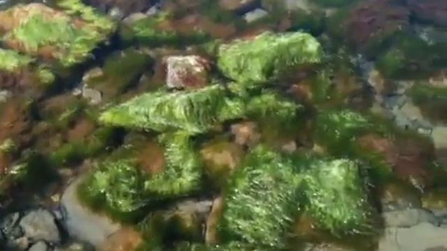 Море в Анапе смотреть онлайн