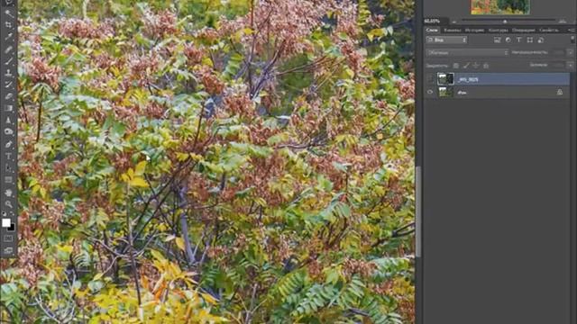 RAW  Converter. Для чего он нужен