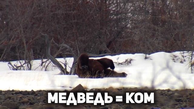 С ПРАЗЪ-ДНIкомЪ !!!! Исконный смысл Масленицы , КрасноГора и Пасхи !!!! смотреть онлайн
