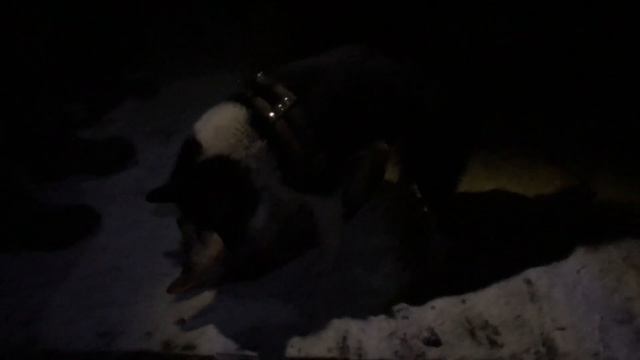 Видеодневник - поездка в Унжу. День 1. (Купание в Святом источнике, волки, заяц в русской печи). смотреть онлайн