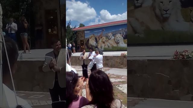 Я нахожусь в Сафари_парк и там бил сам.................. смотреть онлайн