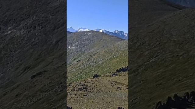 Утренний вид на гору Белуха от метеостанции Кара-Тюрек. Горный Алтай #Siberia смотреть онлайн