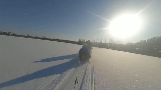динго. катаем семью смотреть онлайн