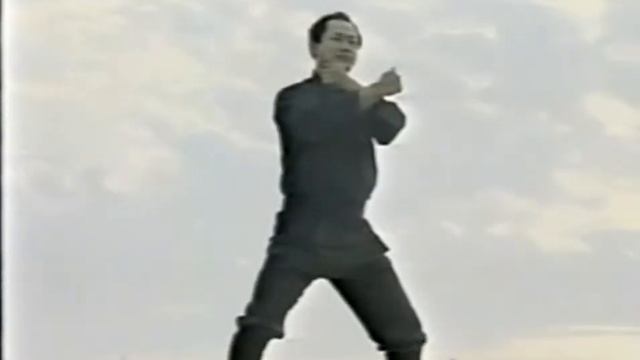 Ниндзюцу.Гекко рю Косидзюцу.Gyokko Ryu – kosshijutsu смотреть онлайн