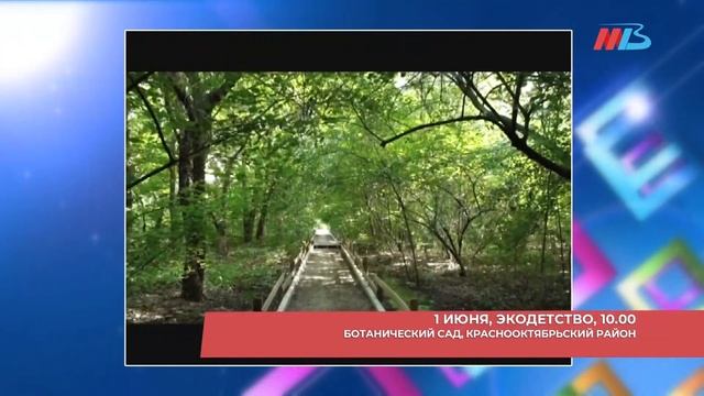 Куда сходить в Волгограде 1 и 2 июня: День молока, экофестиваль, велопробег смотреть онлайн