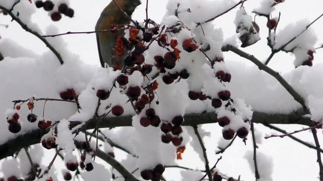 Конец ноября Междуреченск смотреть онлайн