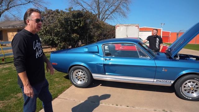 What Happened to the Shelby Mustangs + Restoration Revival Update! смотреть онлайн