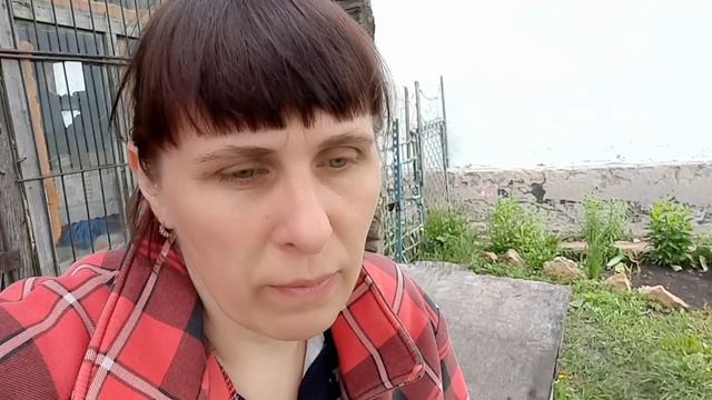 Вакуумируем сырок Жизнь в деревне летом смотреть онлайн