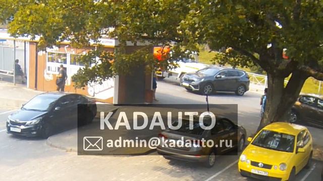 В Светлогорске "ГАЗ" учит не разворачиваться на остановках. 15.08.22 смотреть онлайн