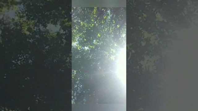 "Поселю в душу доброе слово". 2019. Читает автор. смотреть онлайн