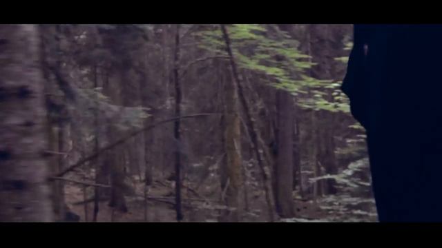 Эльбрус Джанмирзоев - Чародейка.mp4 смотреть онлайн