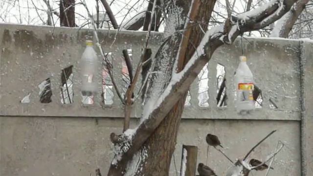 Воробьи и синицы. смотреть онлайн