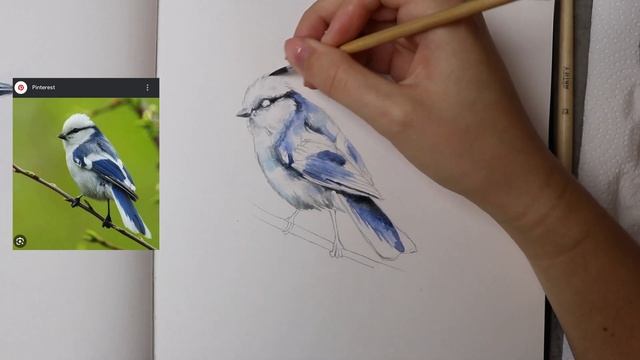 My Top Three Tips for Drawing and Watercolour смотреть онлайн