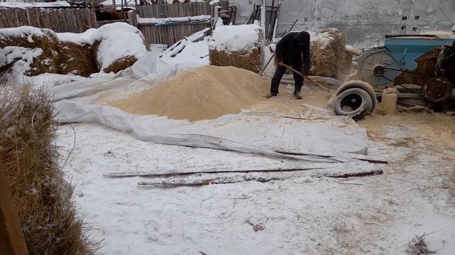 Дробим ячмень для лошадей смотреть онлайн