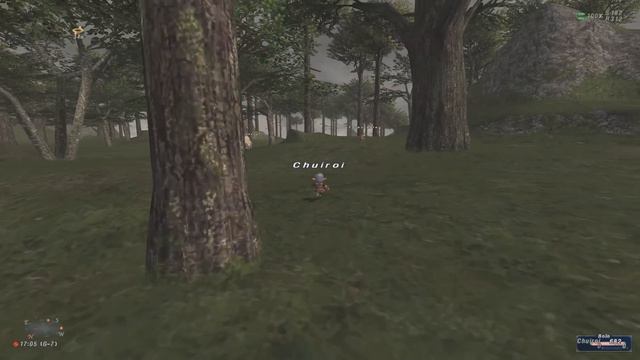 FFXI Classic - The Importance of Open World Difficulty! смотреть онлайн