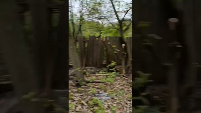 Забор из профнастила своими руками смотреть онлайн