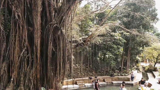 Магический остров Сикихор | Необычное жилье, тарзанка и метла смотреть онлайн