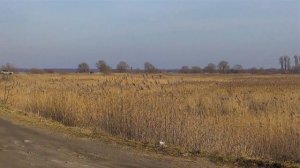 Рыбалка в Полесске