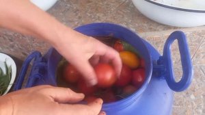 Бочковые помидоры холодным способом