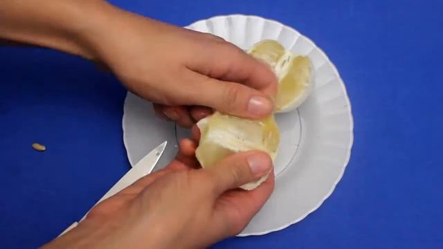 Зимние Салаты