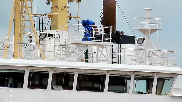 Cargo Seaship ARIFE H8XS IMO 9266322 Merchant Vessel Freighter Frachtschiff