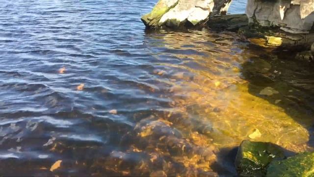 Где отдохнуть в Татарстане? Камское устье. Гора Лобач. Камское море. смотреть онлайн