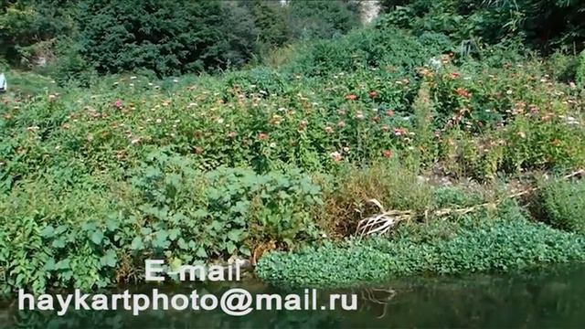 Армянский предприниматель предлагает бизнес проект инвесторам смотреть онлайн