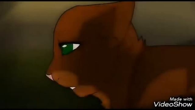 Коты воители - Не пара (Белка и Уголёк) смотреть онлайн