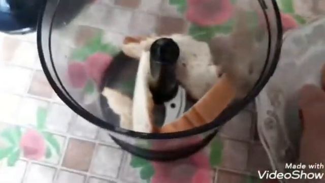 Анимационные Фильмы для Детей и Взрослых