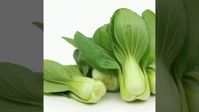 Капуста Виды, польза, вкусные рецепты смотреть онлайн