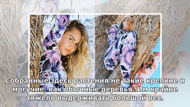 Майли Сайрус осудили за фотосессию в национальном парке смотреть онлайн