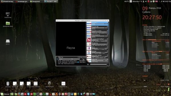 Паром TV-бесплатное ТВ приложение в Linux.