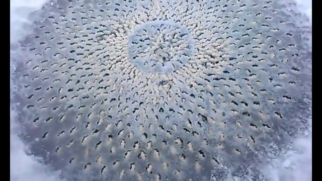 7 ЖУТКИХ НАХОДОК Во Льду, Которые Вас Шокируют Жуткие Находки Во Льду смотреть онлайн