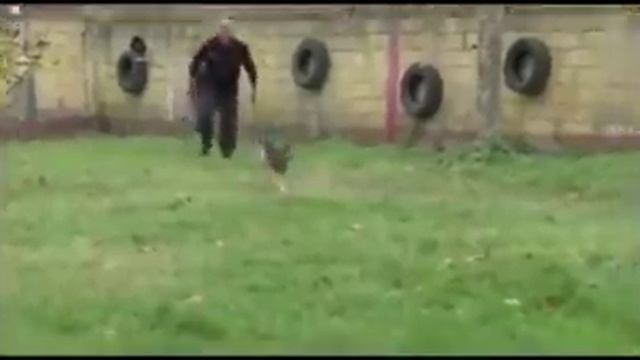 Report TV - Shpëtoi jetë në Durrës - Si stërvitet heroi me katër putra смотреть онлайн